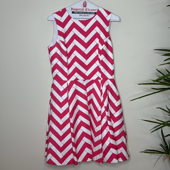 Elizabeth McKay || Hot Pink Bamboo Chevron Fit & Flare Dress w/POCKETS; Size 2 - Picture 4 of 17